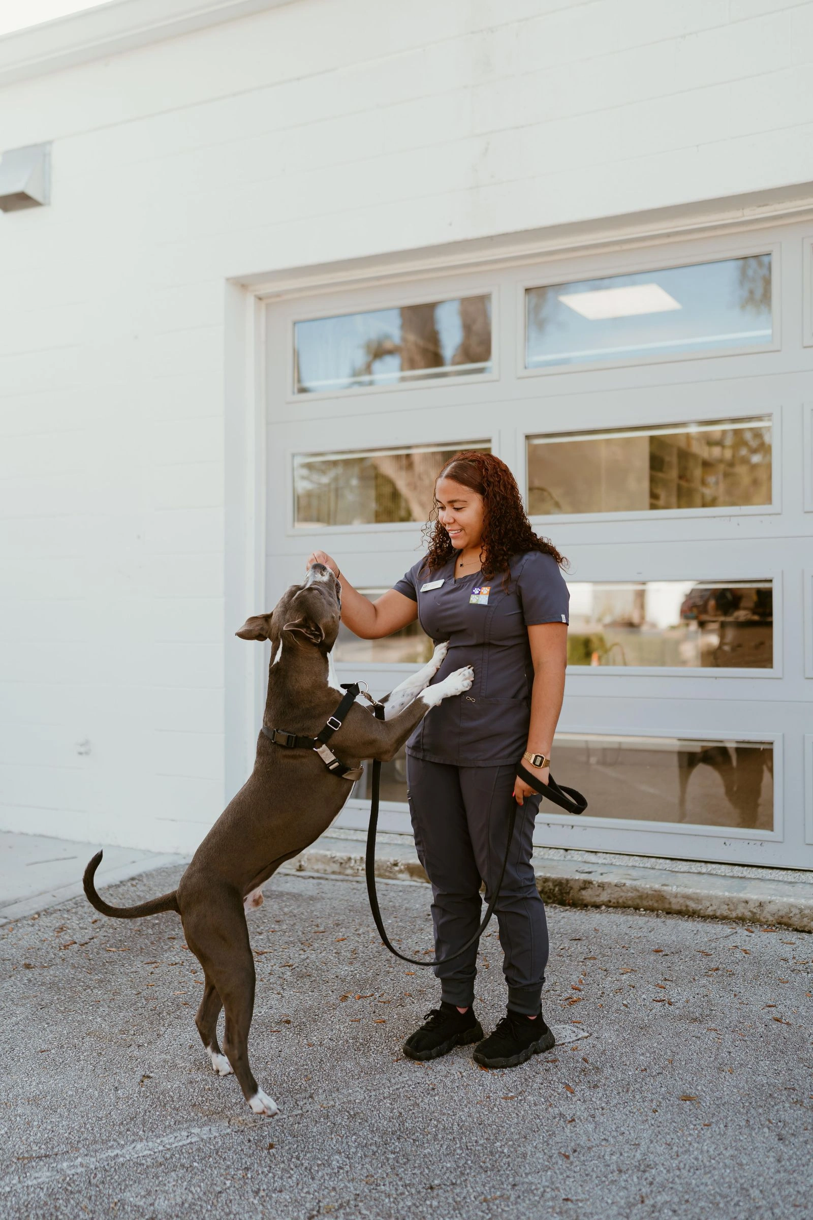 safe treats for dogs
