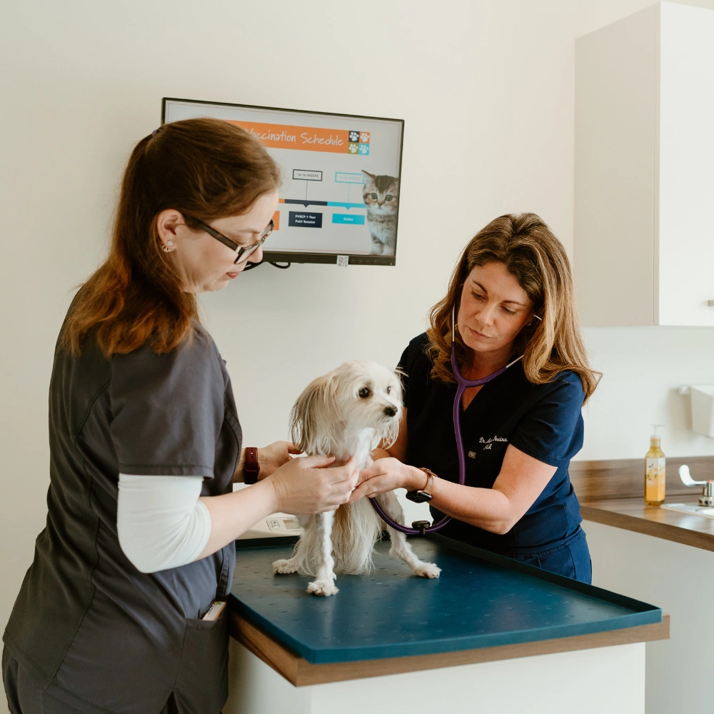 During Business Hours