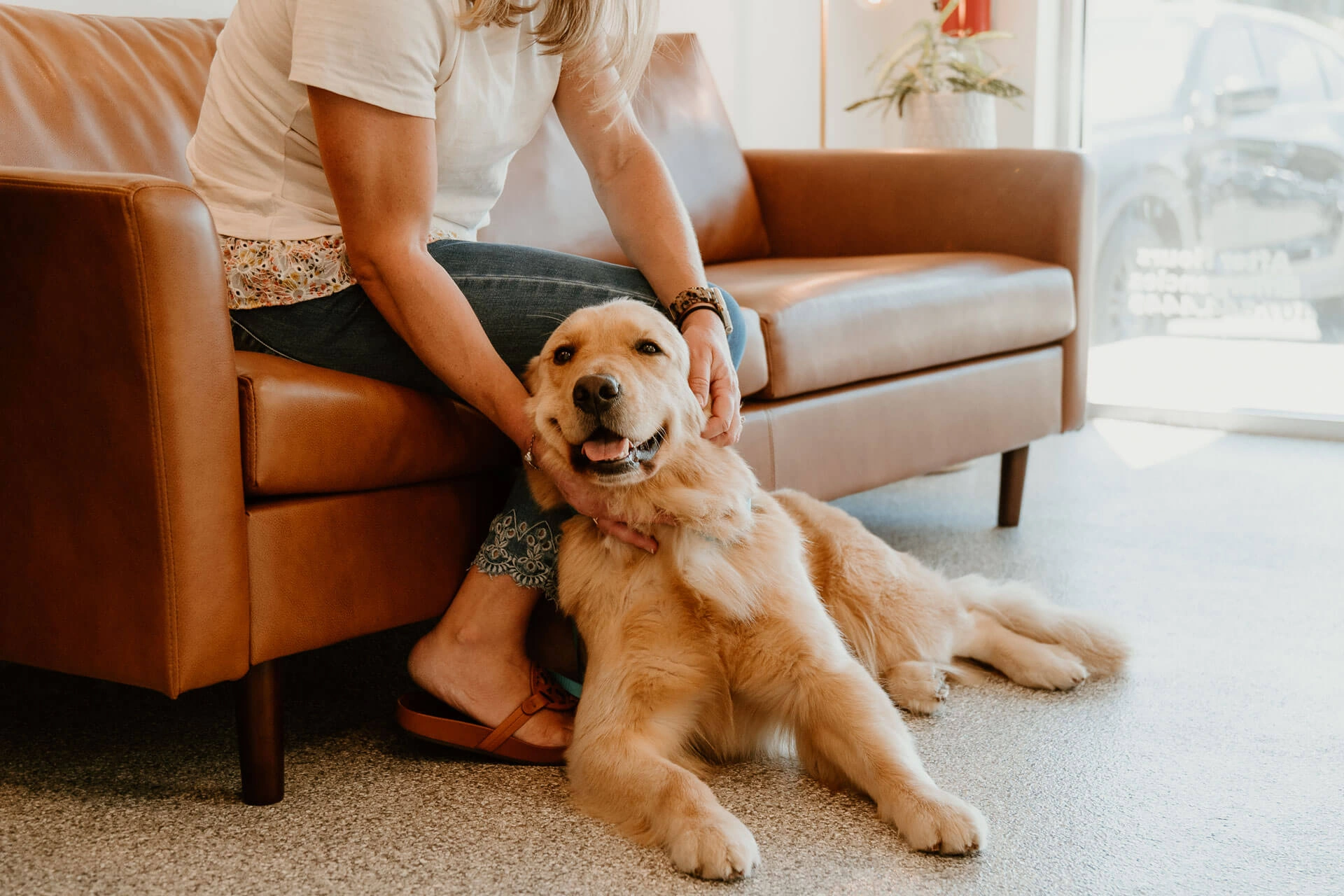 Expert Veterinary Care in Winter Park-2