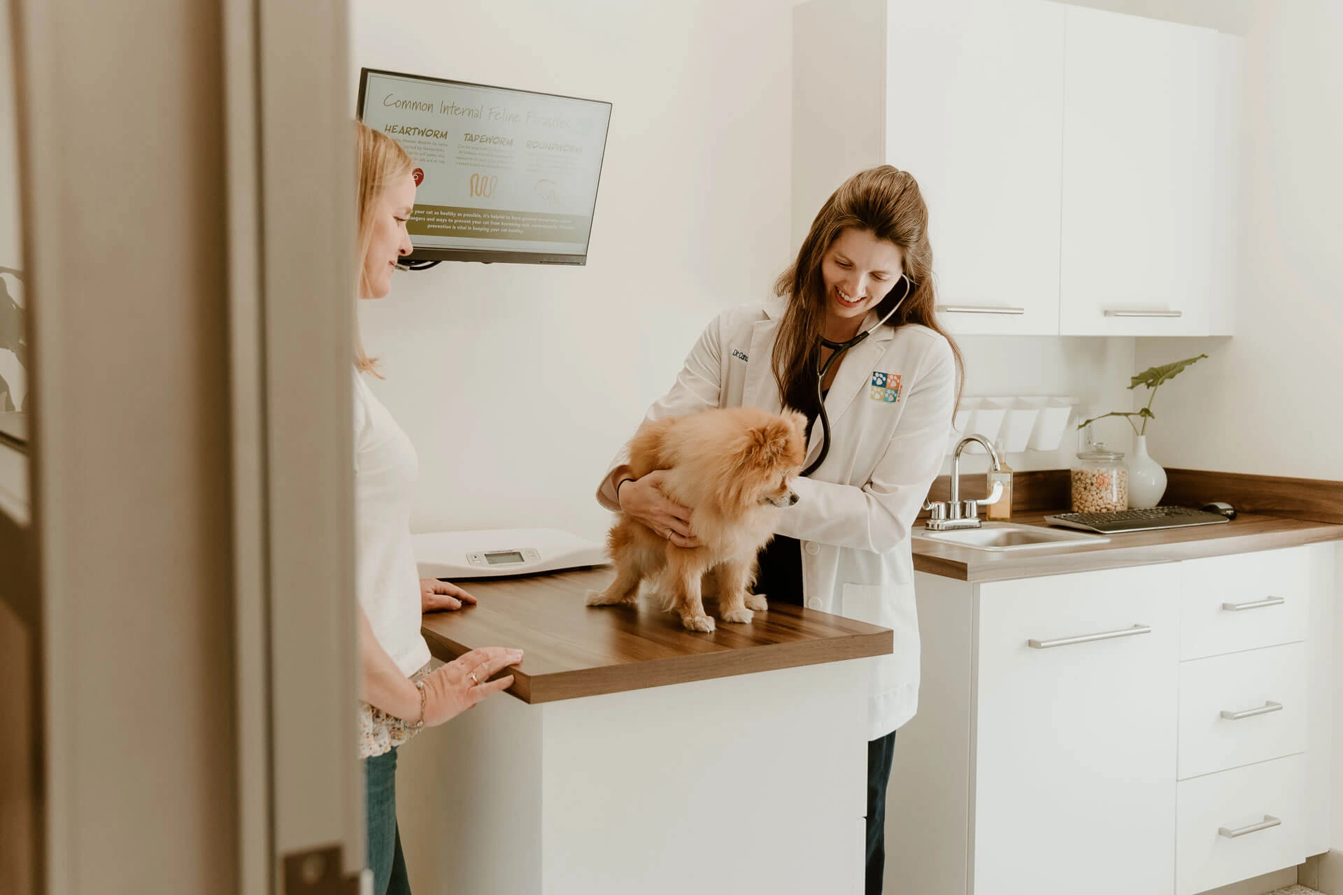 Expert Veterinary Care in Winter Park - 3