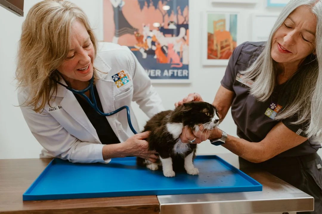 img-team-seven