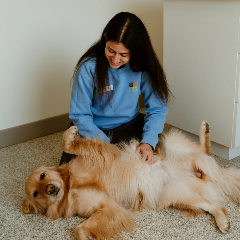 alternative-medicine